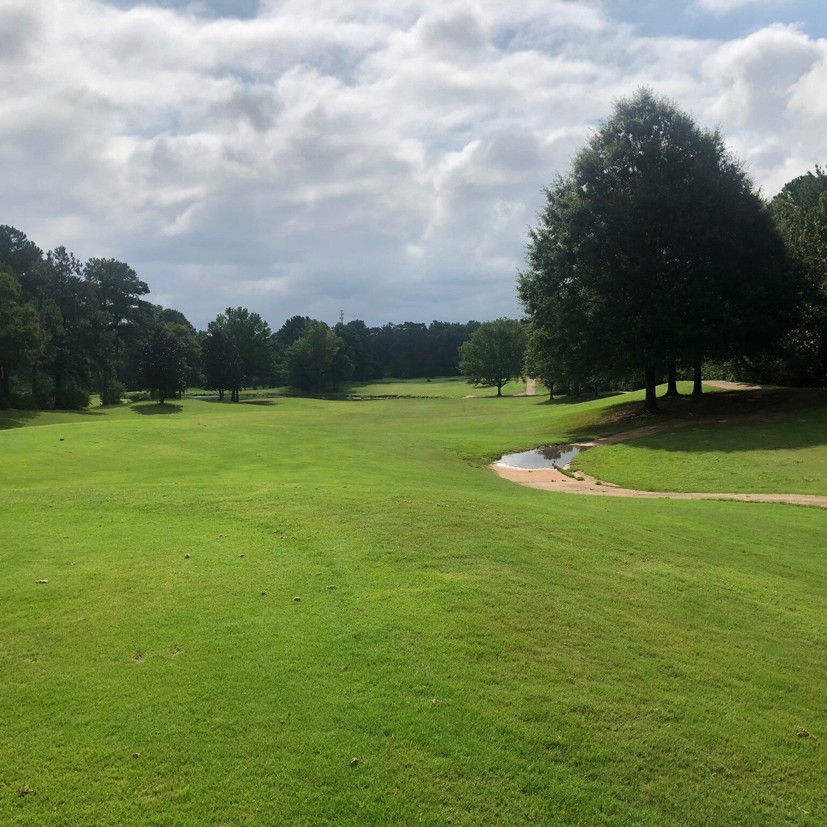 COTTON FIELDS GOLF COURSE (McDonough) All You Need to Know BEFORE You Go