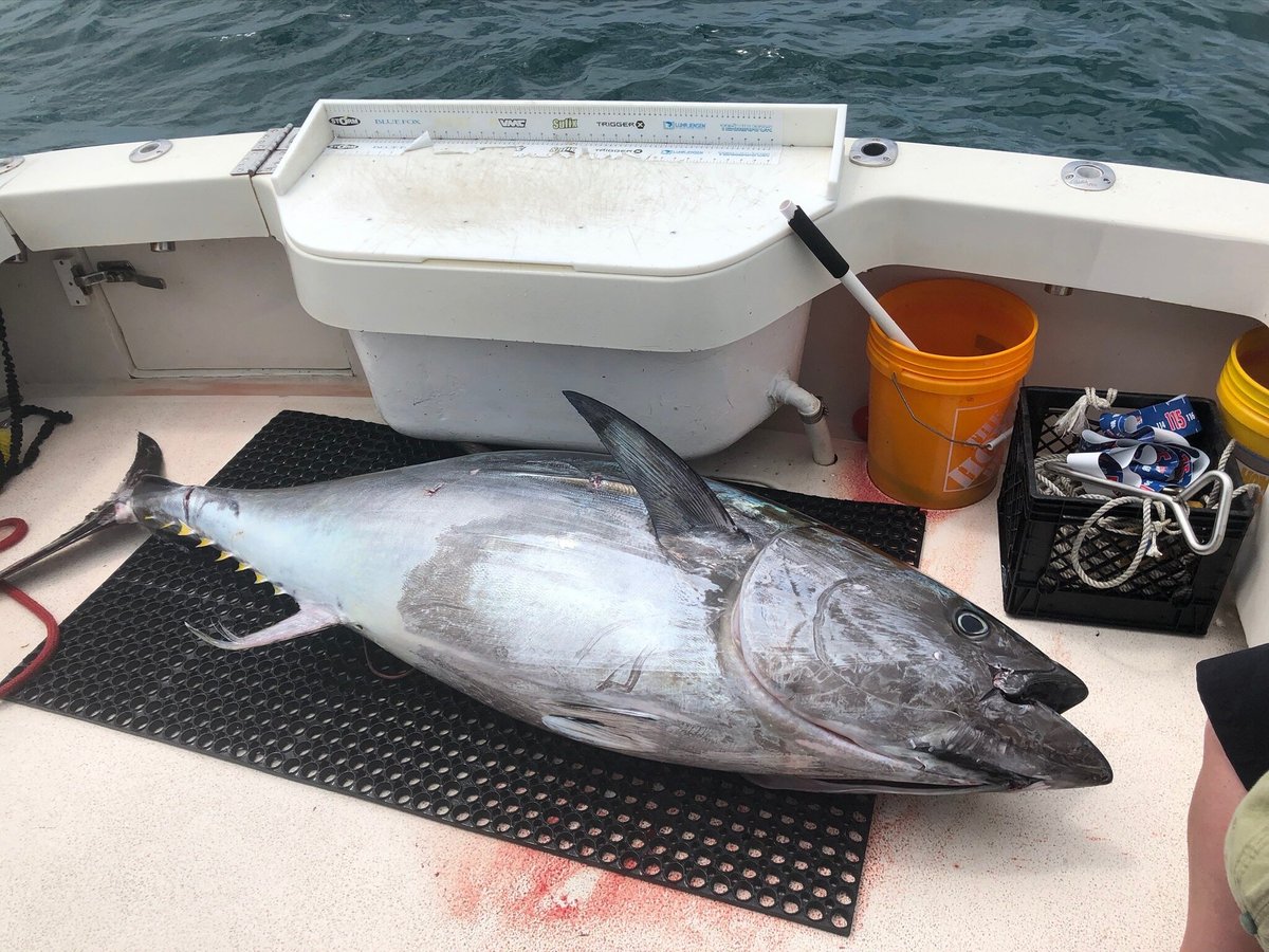 Boston Fishing Charters (Quincy) - All You Need to Know BEFORE You Go