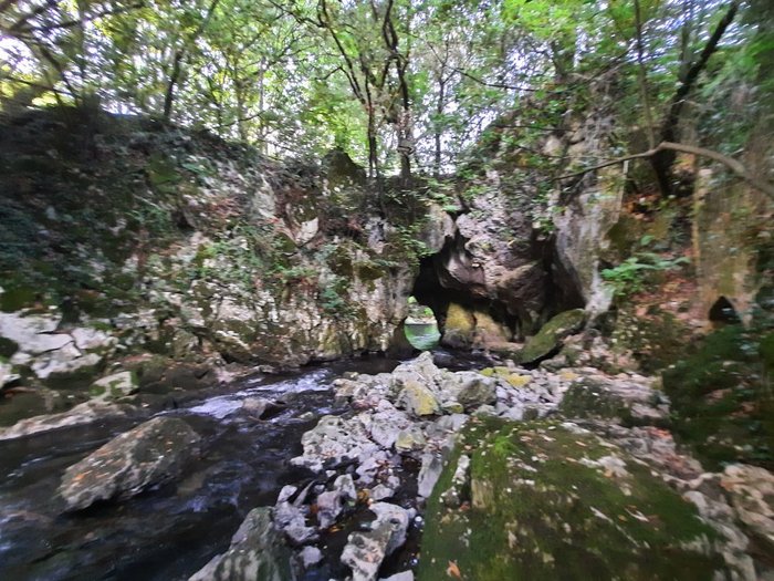 Imagen 2 de Fuente del Francés