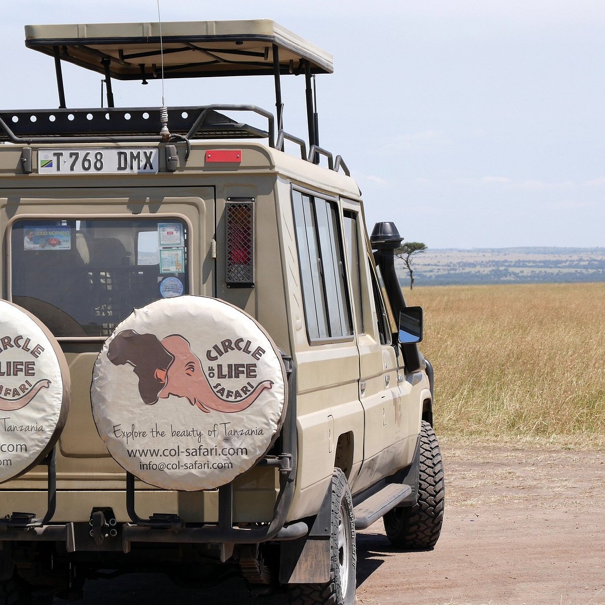 circle of life safari