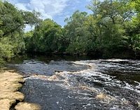 are dogs allowed at steinhatchee falls