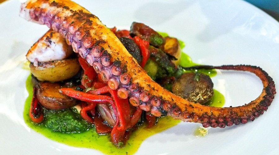 Octopus!