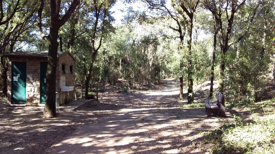 la pineta