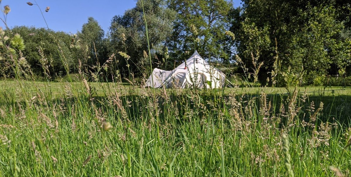 field and stream rutland tracker