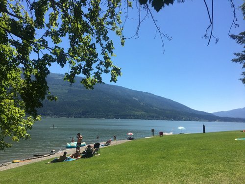 Salmon Arm review images