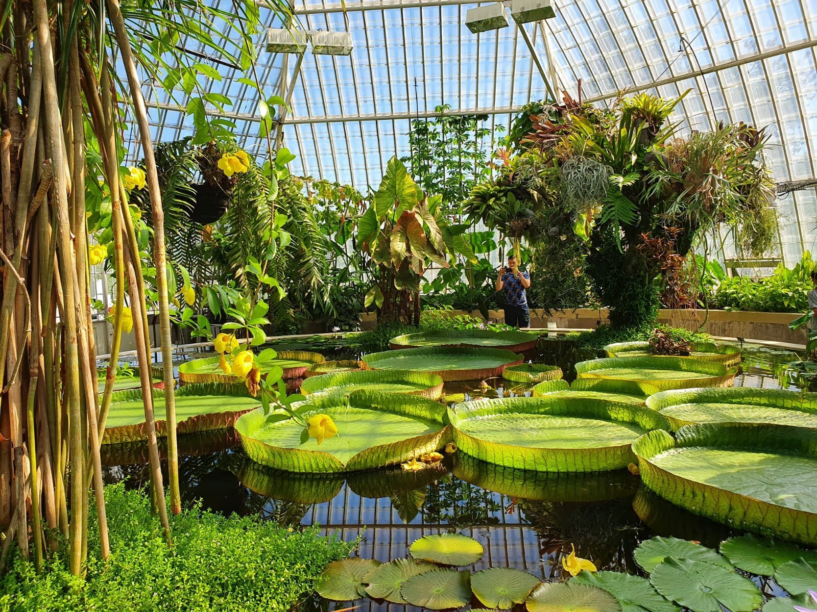 【本日特価】 (2025) Gardens Sweden BEST 15 THE - Reviews Trusted with 洋書