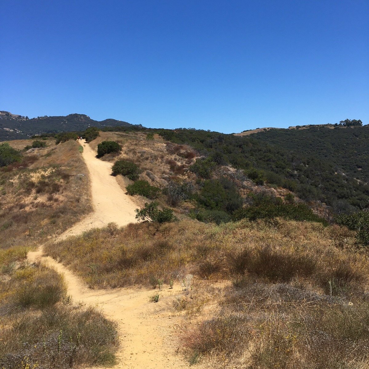 Trail Canyon Trail (Los Angeles) - All You Need to Know BEFORE You Go