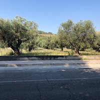 L’Uliveto della Villa ....