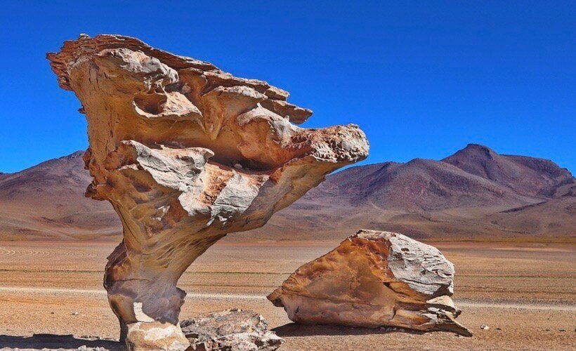 In the center of the Eduardo Avaroa National Reserve we found ourselves in an interesting place with a gorge made of rocks of unusual shape. Arbol de Piedra resembled in shape a squat gnarled tree or a mushroom with a thin stem.  It is called so in all guidebooks - "Stone tree".  The height of the rock is about 7 meters.  This shape of the stone arose due to wind erosion.  The winds here are really very strong, and most importantly, they carry sand dust, which grinds the stone.