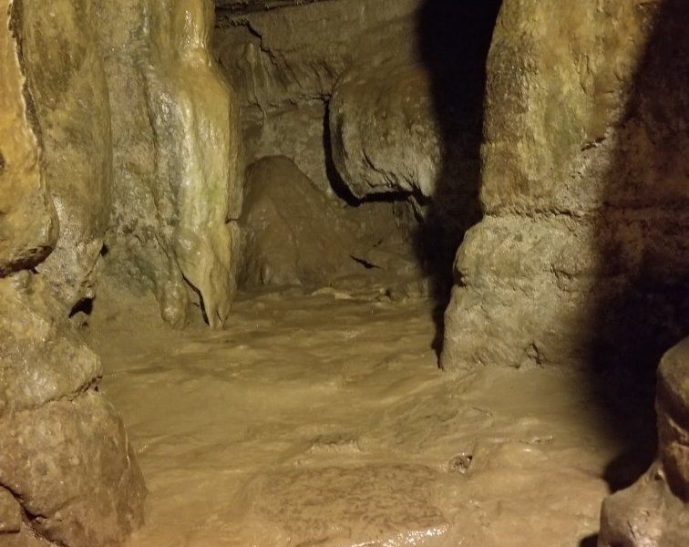 Olentangy Indian Caverns (Delaware) - All You Need to Know BEFORE You Go