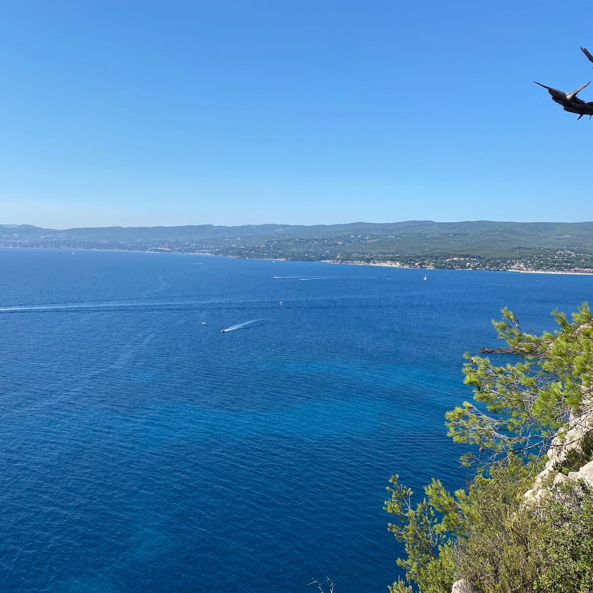 Le Sentier du Littoral (Saint-Cyr-sur-Mer) - 2022 Alles wat u moet ...