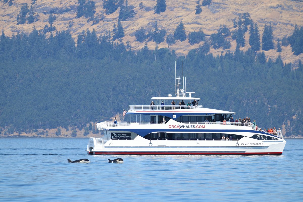 Whale Watching Tour Menu on the Island Explorer 5