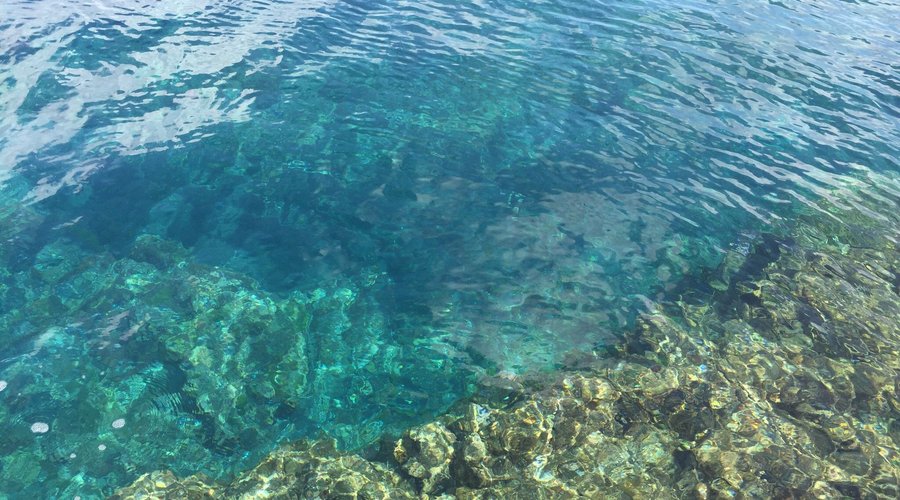 気持ち良い潮風浴びながら蜂蜜レモンサワー