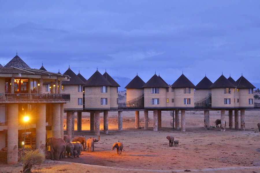 safari kenia hotel