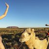 Things To Do in Uluru Astro Tour, Restaurants in Uluru Astro Tour