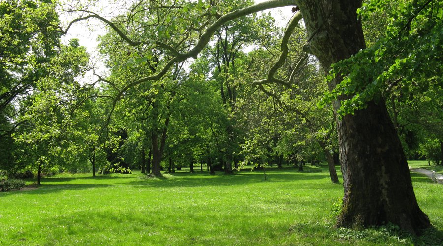Schlosspark Schloss Ormoz