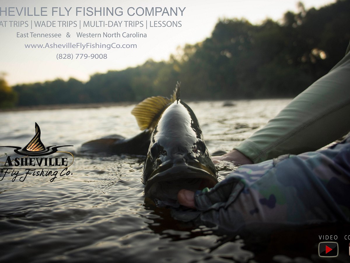 Fly Fishing Tips, Asheville Fishing News, Asheville Fly Fishing Company —  Asheville Fly Fishing Company, Asheville, Western NC