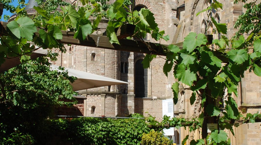 Blick auf den Dom
