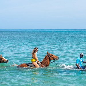 25 Best Things to Do in Montego Bay, Jamaica - Trip Canvas