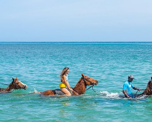 tours in ocho rios