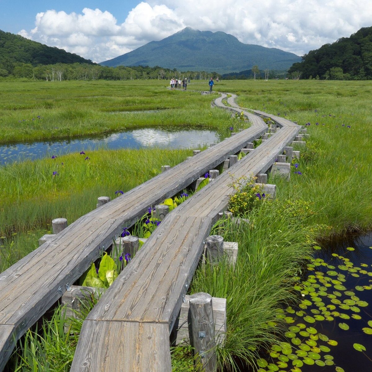 oze-national-park-japan-all-you-need-to-know-before-you-go