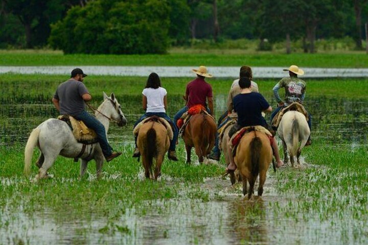 2024 (Varzea Grande) 4-Days North Pantanal Unearthing Exotic Treasures ...