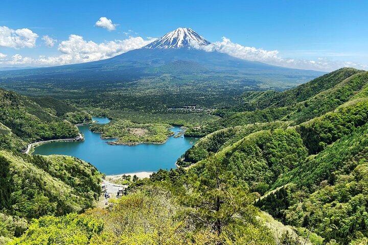 2024年 富士箱根伊豆国立公園 - 行く前に！見どころをチェック