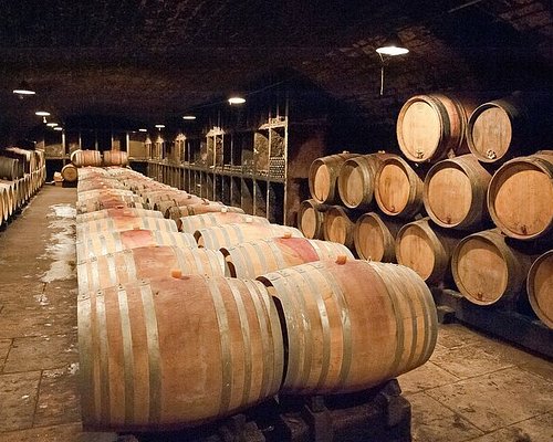 wine tour burgundy