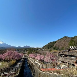 21年 山中湖村で絶対外さないおすすめ観光スポットトップ10 定番から穴場まで トリップアドバイザー