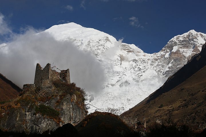 bhutan swallowtail tours and treks