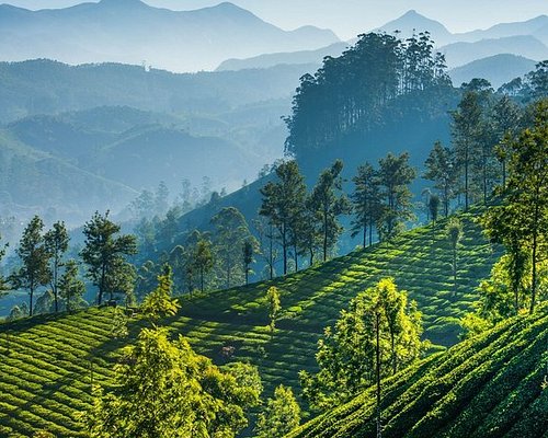 madurai tour and travels