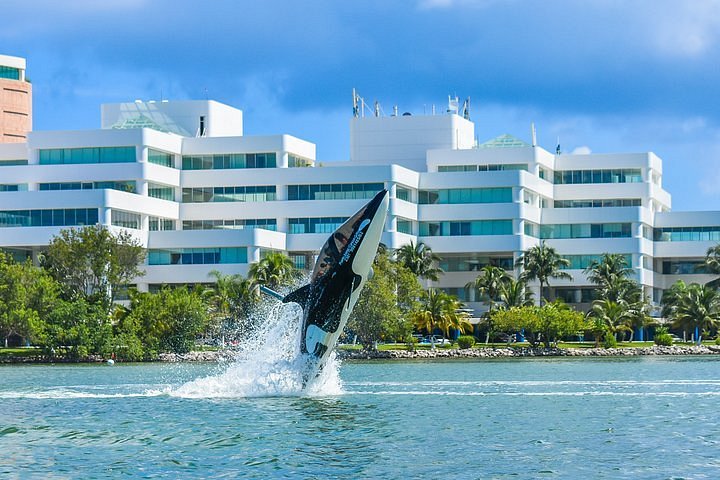 instructor cancun resorts