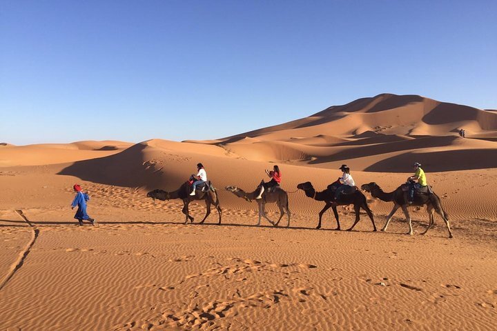 2023 Private 3 Day Sahara Desert Adventure (w/Photos)