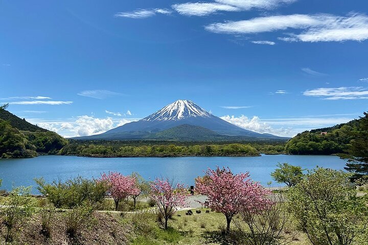 2021年 山中湖村で絶対外さないおすすめ観光スポットトップ10【定番 