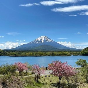 21年 山中湖村で絶対外さないおすすめ観光スポットトップ10 定番から穴場まで トリップアドバイザー