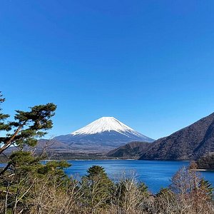 21年 山中湖村で絶対外さないおすすめ観光スポットトップ10 定番から穴場まで トリップアドバイザー 21年 山中湖村で絶対外さないおすすめ観光スポットトップ10 定番から穴場まで トリップアドバイザー