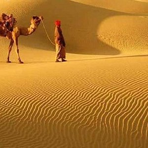 camel safari bikaner