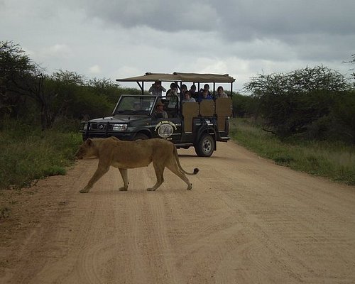 safari national park south africa