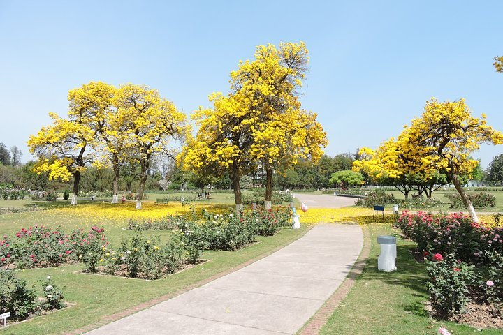 THE ROCK GARDEN OF CHANDIGARH - All You Need To Know BEFORE You Go ...