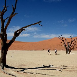 schoeman safaris namibia