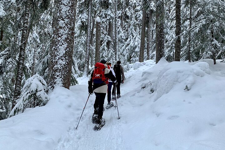 2024 Whistler Lost Lake Snowshoeing and Village Tour