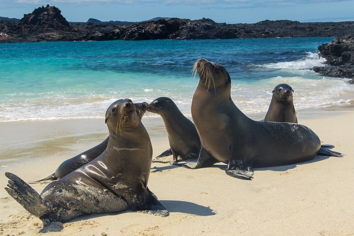 2024 The Best of Ecuador & Galapagos 12 Days / 11 Nights