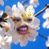 sallyyaugusta