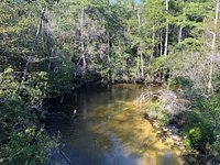 Turkey Creek Nature Trail Niceville, Florida – Footpaths