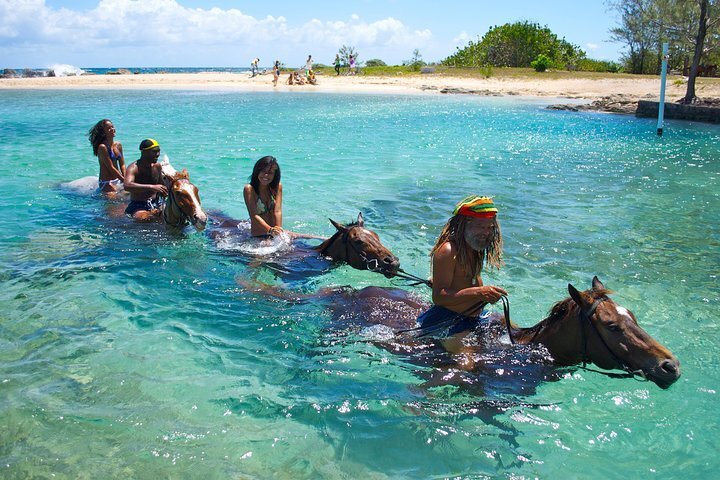 2024 Braco Stables Horseback Ride & Swim Excursion From Ocho Rios