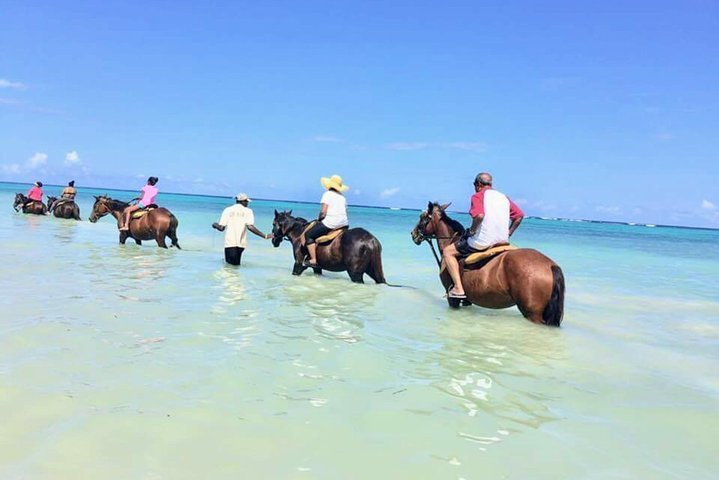 2023 Secret Falls, Blue Hole, and Horseback Riding from Ocho Rios