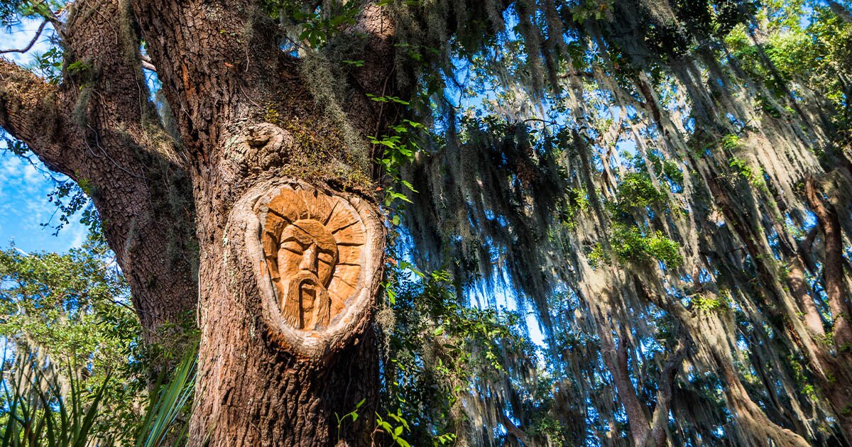 Tree Spirits Of St Simons Island All You Need To Know BEFORE You Go   St Simons Island Tree 