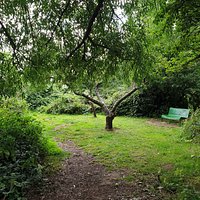 St Aiden*s Park Nature Reserve.