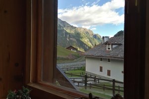 Vista desde la habitación