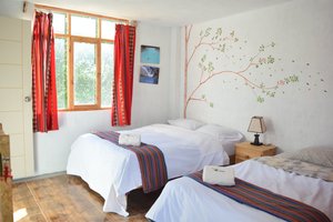 Habitación y suite
